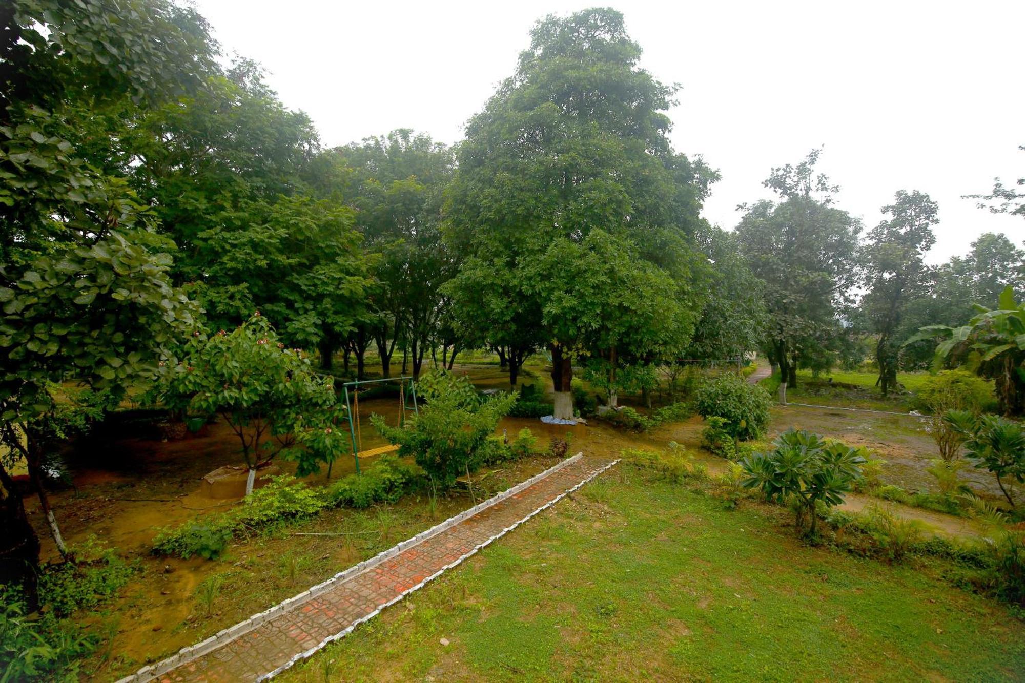 Tribal Wood Resort Dhanwar ภายนอก รูปภาพ